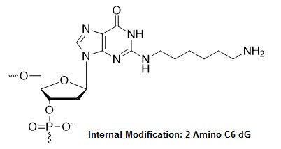 Bio-Synthesis Inc. Oligo Structure